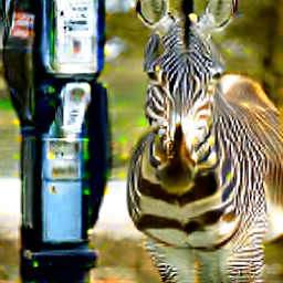 Zebra and parking meter, train long test repeated.